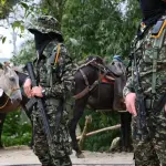Defensoría del Pueblo alerta crisis de seguridad en Sitionuevo (Magdalena) y Maicao (La Guajira)
