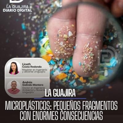 Microplásticos: pequeños fragmentos con enormes consecuencias