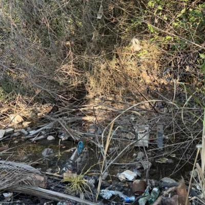 Gobernación de La Guajira emite recomendaciones ante posible temporada de incendios forestales