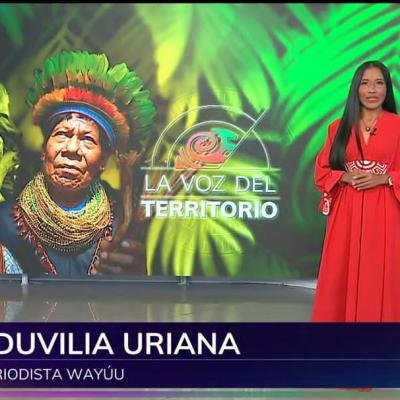 Eduvilia Uriana: del territorio wayuu a los medios públicos nacionales