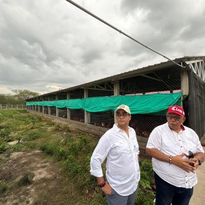 Gobernador Jairo Aguilar entrega proyecto avícola que beneficiará a 100 familias de Mayabangloma