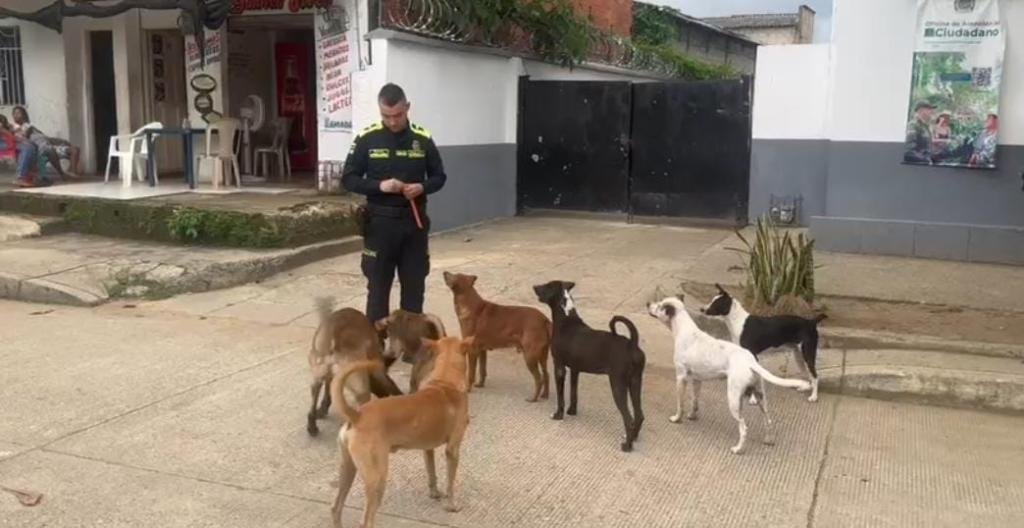 El angel de los perros: la historia del policía que salva a caninos abandonados